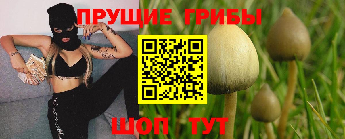 Псилоцибиновые грибы мухоморы  Вход с VPN  Коркино 